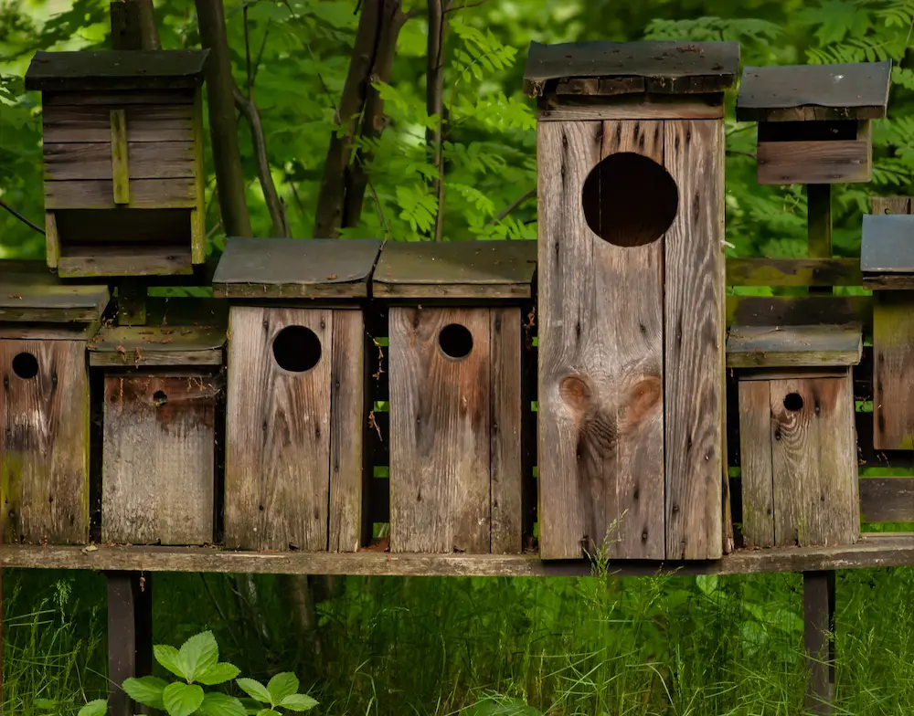 A row of wooden birdhouses providing nesting sites at Marguerite Rose's Devon flower farm.
