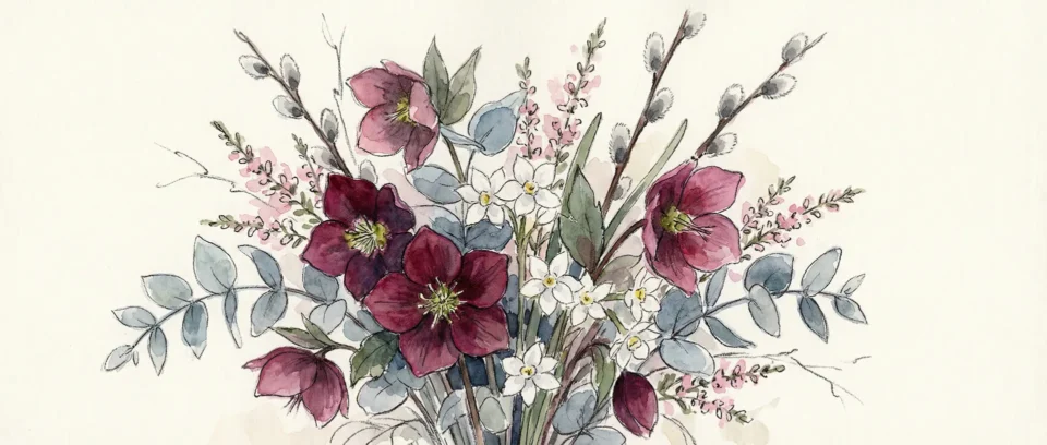An elegant watercolor and charcoal sketch of a British winter bouquet featuring burgundy hellebores, silver eucalyptus, white paperwhites, and pussy willow, by Marguerite Rose