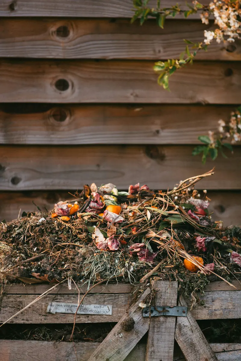 Healthy compost heap at Marguerite Roses flower farm in Devon, demonstrating sustainable organic practices.