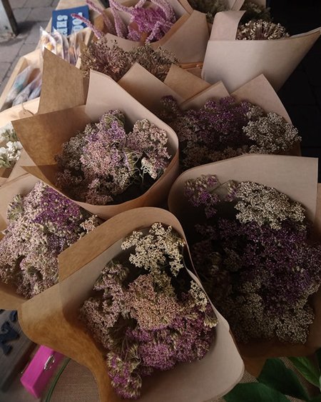 Dried flower bouquets featuring Daucus Carota and other blooms from Marguerite Roses, ready for market sale in Devon.