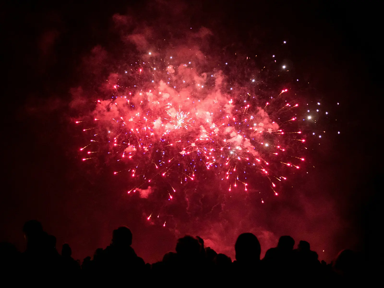 Red and white fireworks exploding overhead with silhouetted crowd below, illustrating the noise and light that can distress wildlife during Bonfire Night
