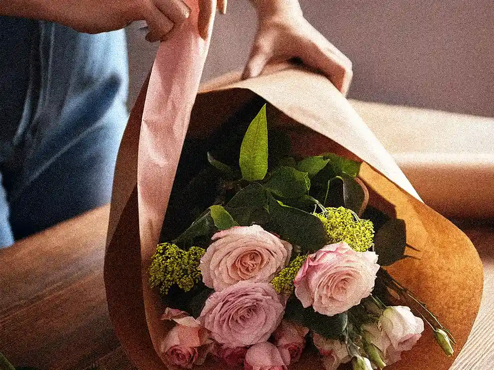 Hands gently unwrap brown paper and pink ribbon from a fresh bouquet of pink roses, step two in caring for Marguerite Rose flowers.