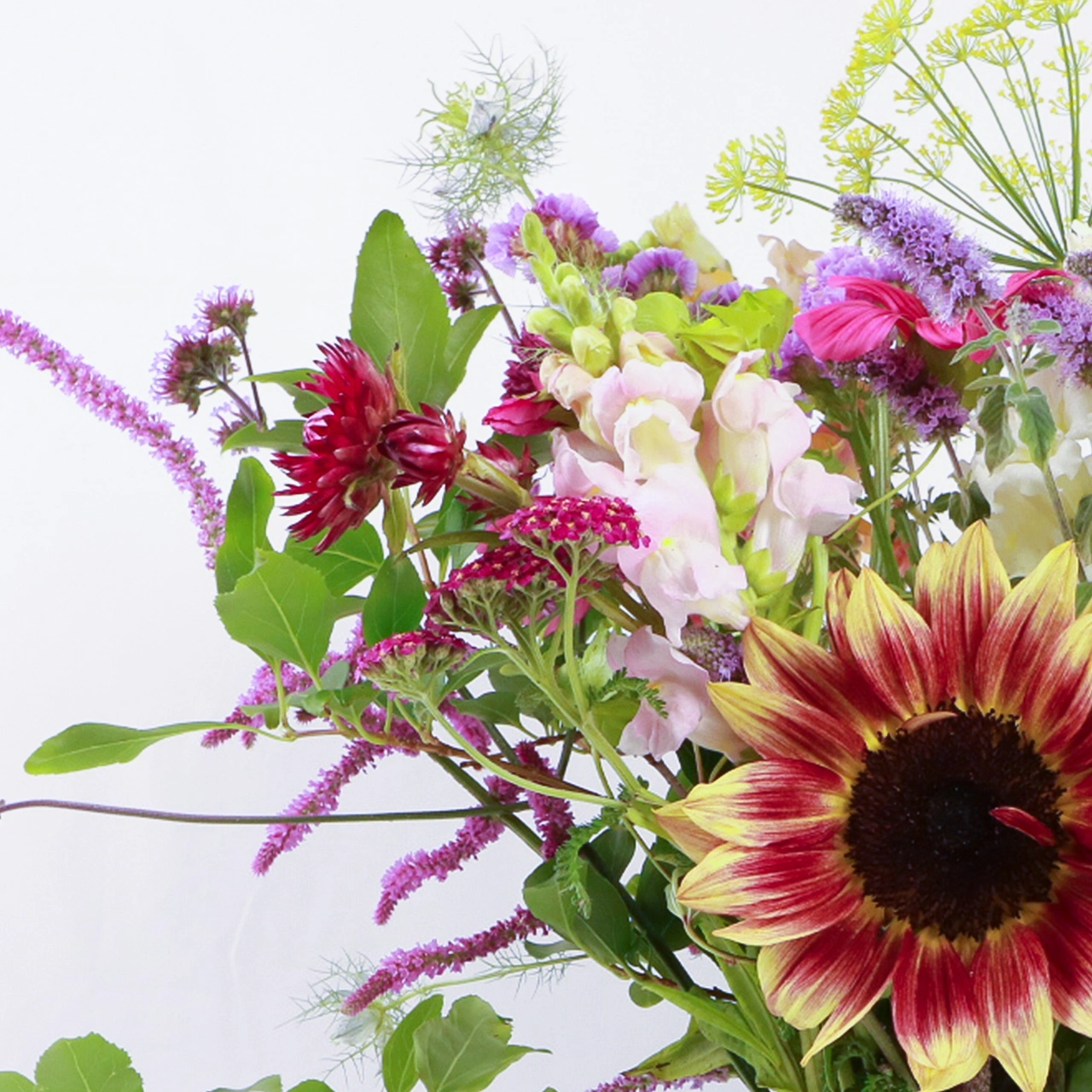 Devonshire Deluxe 2 Close-up left side of large seasonal bouquet showing red and yellow sunflower, burgundy dahlia, pink sweet peas, purple veronica, and dill flowers