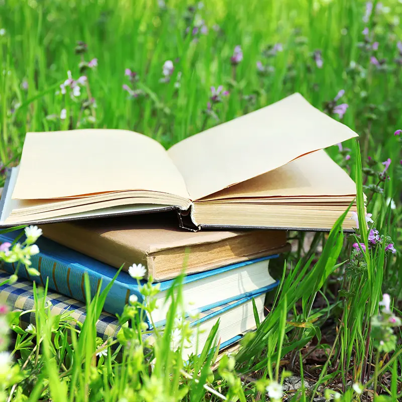 Stack of open and closed books nestled in a vibrant green meadow with wildflowers, symbolizing continuous learning and growth in harmony with nature.