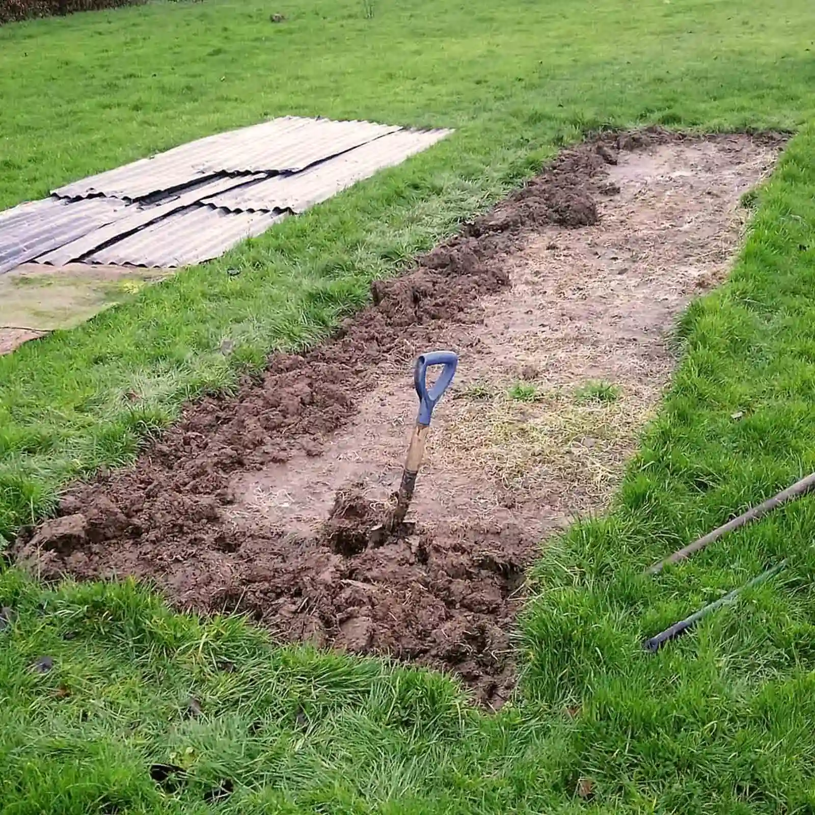 Beginning of a new hand-dug flower border at Marguerite Roses farm in Devon, showing grass removal and soil preparation.