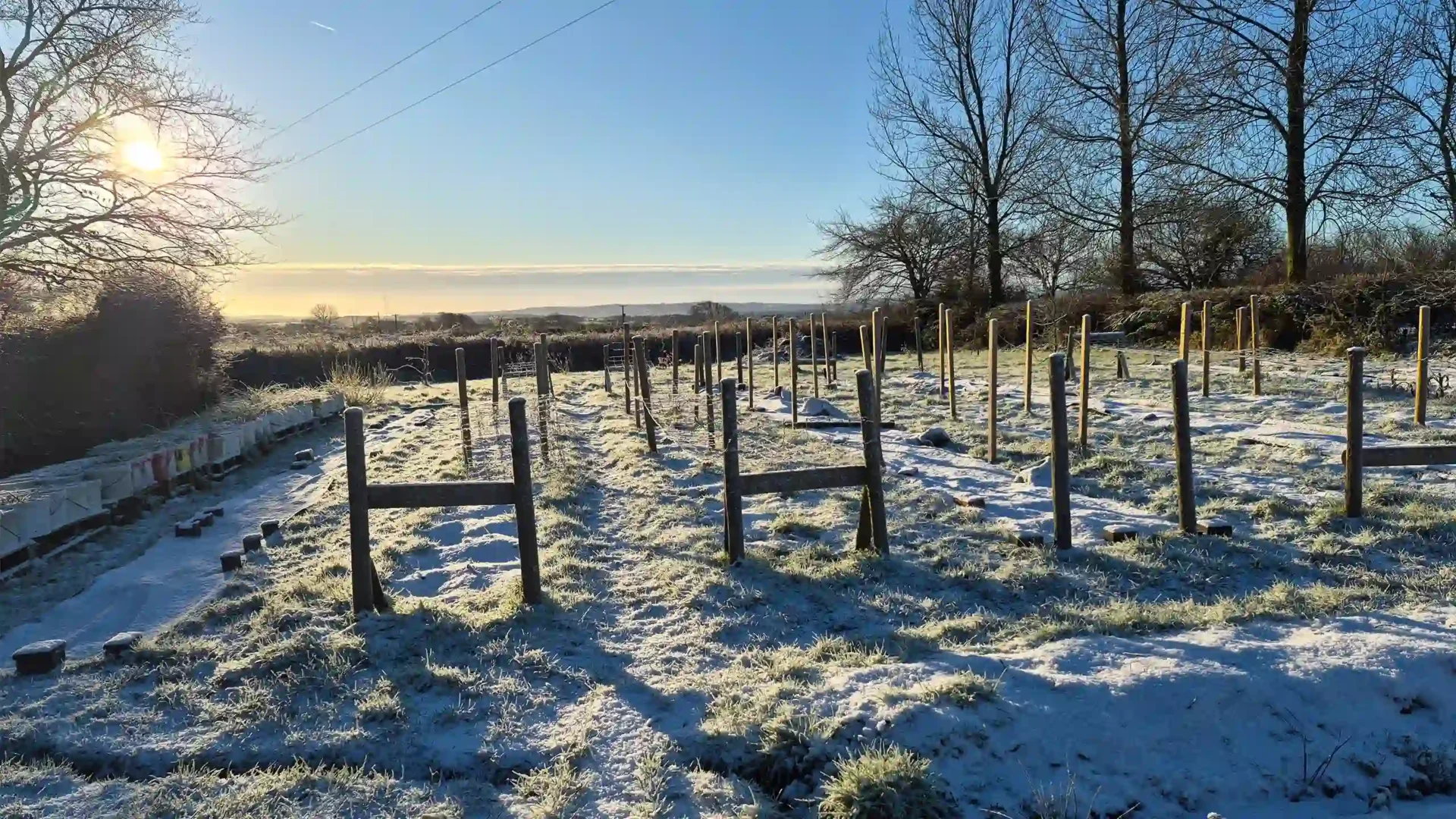 Snow-covered raised flower beds and wooden posts at Marguerite Rose flower farm in the Devon countryside under a bright blue winter sky
