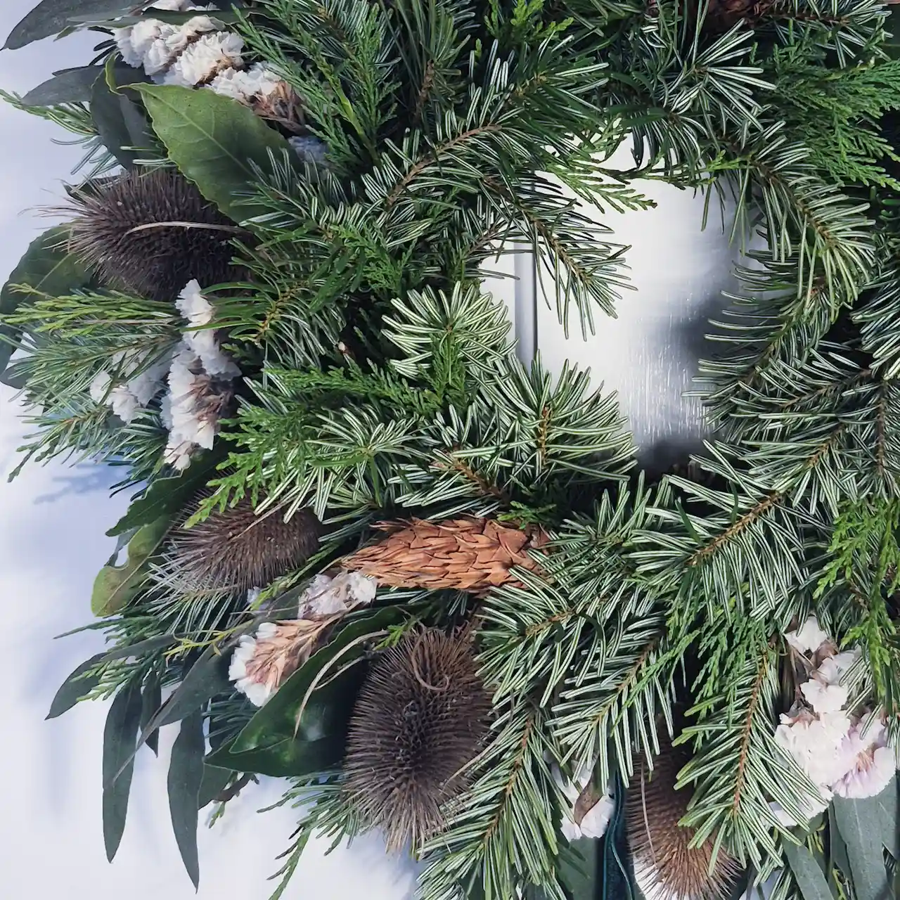 Close-up of Devon Christmas wreath featuring white statice, teasels, pine, ferns and bay leaves