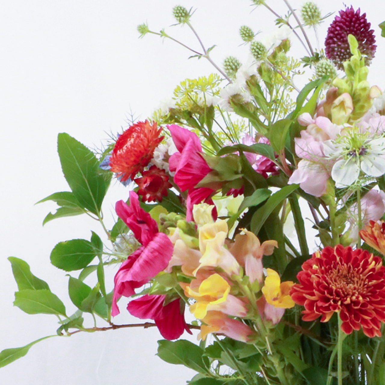 Close-up left side view of Marguerite Rose medium seasonal bouquet showing red dahlia, pink cosmos, white nigella, and scabious seed heads