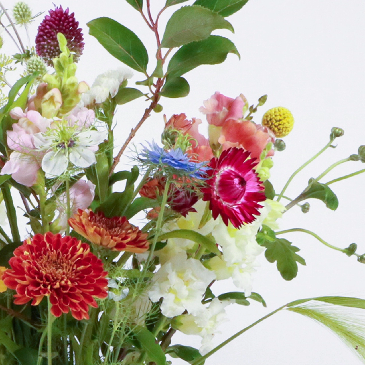 Seasonal Bouquet 3 Close-up right side view of Marguerite Rose medium seasonal bouquet featuring red dahlias, pink dianthus, white nigella, blue cornflower and yellow craspedia