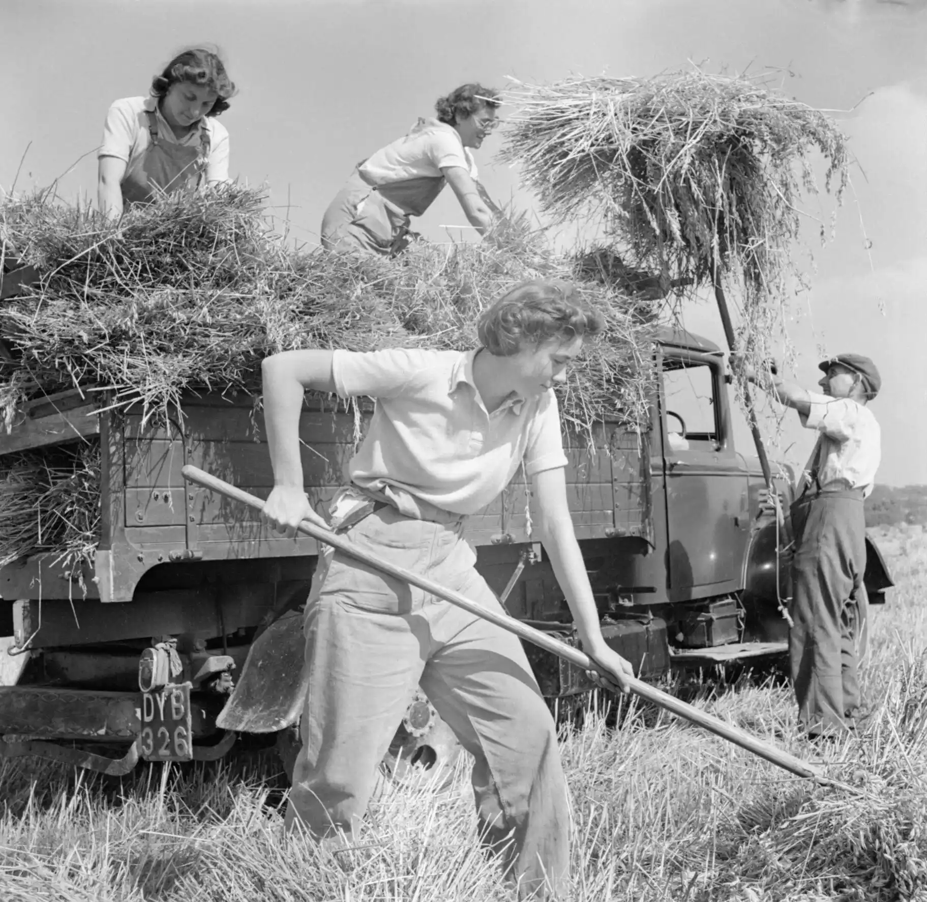 Black and white photograph of four Women's Land Army workers harvesting oats at Mount Barton in Devon in 1942, three women loading hay onto a farm truck while a man assists from the ground.