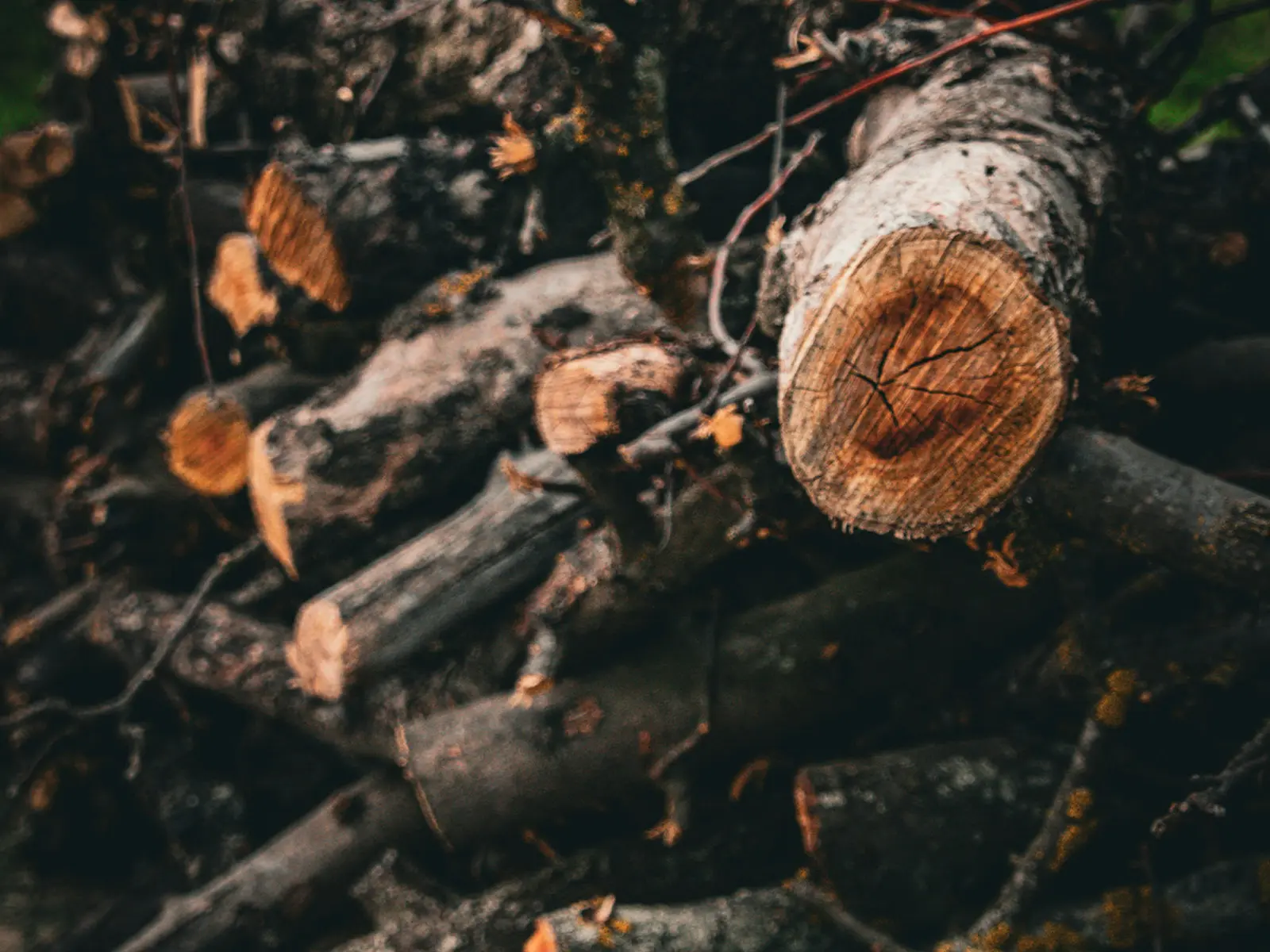 Close-up of a rustic, dark log pile or brushwood heap, showing a potential hibernation site for hedgehogs before Bonfire Night